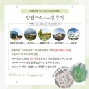 에코아트투어 이미지