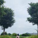 풍영정 | [공지] 빛고을 영산강변 트레킹 (광신대교 &lt;--&gt; 첨단교)