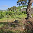 토송농장 이미지