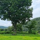 스테이 옥스펜션 나 이미지