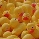 상봉역 1번 출구 이미지