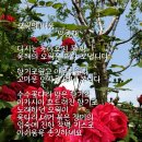 오월의수수꽃다리 이미지