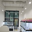 바른 애견 이미지