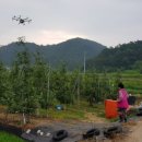 태송농원 이미지