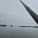 태안-호스릴-49 | 태안 출조 후기 (24/09/12) <쭈>