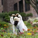 청도새마을휴게소(하) 이미지