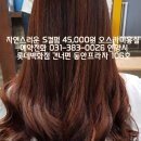 오스카미용실 네이버블로그