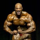 짐티피 연대이대 3호점 이미지