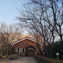 숲속의 섬 이미지