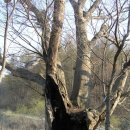 산성목장1 이미지