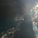 야식문화를 찿아서 익선동 ,광장 시장,대구,통영의 서피랑,부산 자갈치 시장으로 떠나는 한국 기행(EBS,6/9~13,9시30분) 이미지