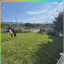 컴투펫 위탁보호센터 이미지