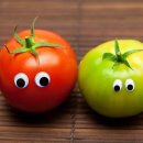 토마토미용실 네이버블로그