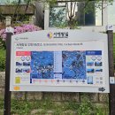 선학역 티스토리
