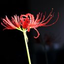 관음사입구 이미지