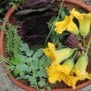 기타등등 이미지