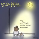 달빛아래 맥주한잔 이미지