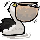 바다건어물 이미지