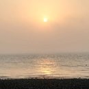 명성화원 이미지