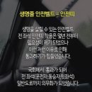 전좌석 안전띠 의무화 (일반도로 포함) 이미지