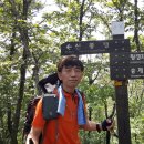 안성리-11 Daum카페