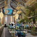 빌라드지디 청담 웨딩홀 계약 후기! 예비 신부가 솔직하게 알려드려요/25년도 하반기