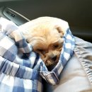 어서타개 이미지