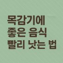 목감기 빨리 낫는법 내 꿀팁 풀께요 이미지