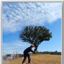 전남 해남군 산이정원 이미지