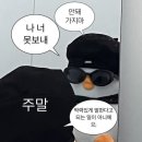 더오리 이미지