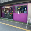 코스믹캣도넛 이미지