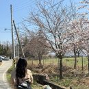 당나귀숲 | 서산 한우목장 감성 카페 <흰 당나귀>