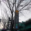 포레스트명례 이미지