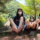 다리안 황토길 이미지