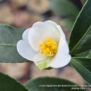 (유)현유 이미지