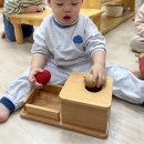 둘리몬테소리어린이집 | 두돌아기의 몬테소리 교육 3달 후기