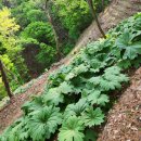 산골농장 이미지