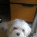 남서울중학교 이미지