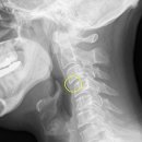 조은한의원 이미지