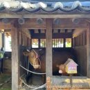 월선농장 | 하동 Day 2, 드라마 촬영지 '최 참판 댁' 솔직 후기