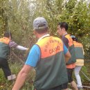 신재영농가 이미지