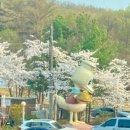 분당유황오리진흙구이 | [분당 율동공원 맛집] 분당유황오리진흙구이 : 매콤한 코다리조림과 정갈한 한상차림 후기