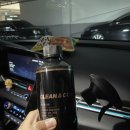 더 뉴 아반떼 CN7 차량용품 청소+정리템 후기 : 더클래스 클린앤코트 자동차 실내 세정제+뽑아쓰는 멀티...