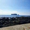 사항포구 공중화장실 | 법환포구에서 점심먹고 반려견과 함께 즐기는 월평포구 집사의 짬낚시