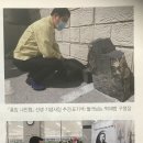 홍암 나인협 선생 이미지