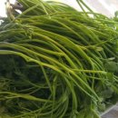 청도비닐 이미지