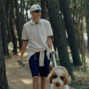 강남대로97길 48 이미지