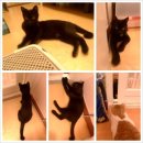 안양6동-1 이미지