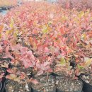 대열농장 이미지