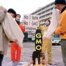 지구환경 이미지